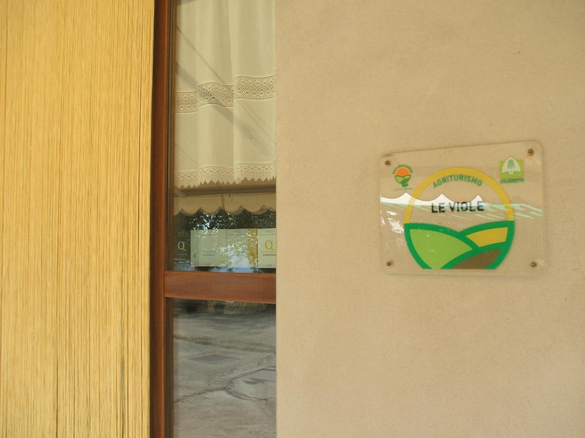 Agriturismo Le Viole Barolo Ngoại thất bức ảnh