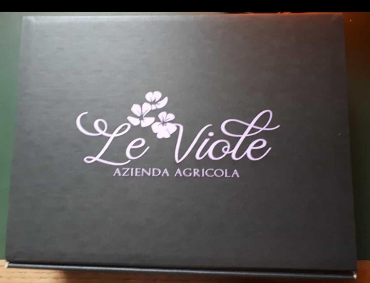 Agriturismo Le Viole Barolo Ngoại thất bức ảnh