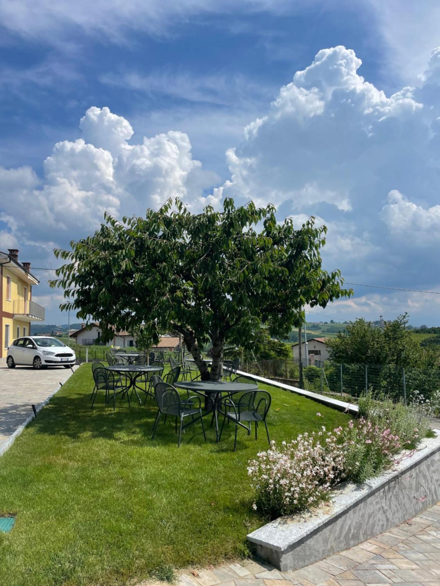 Agriturismo Le Viole Barolo Ngoại thất bức ảnh