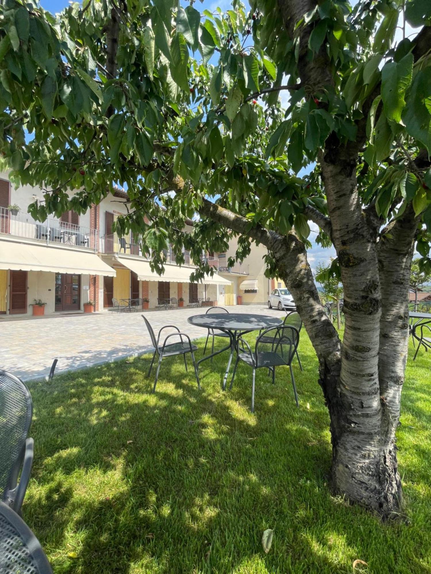 Agriturismo Le Viole Barolo Ngoại thất bức ảnh